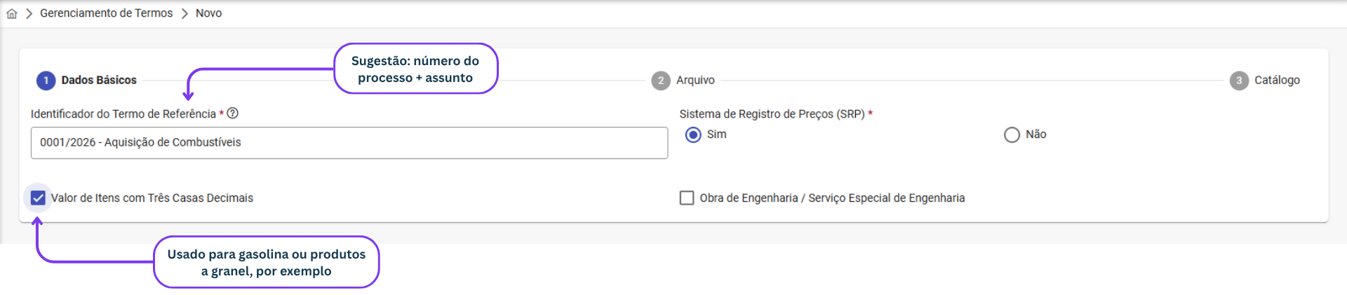 Seção Dados básicos
